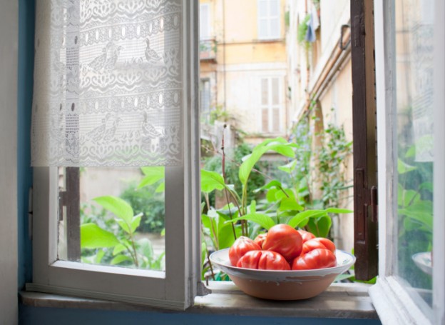 A bowl of tomatoes on a kitchen window sill